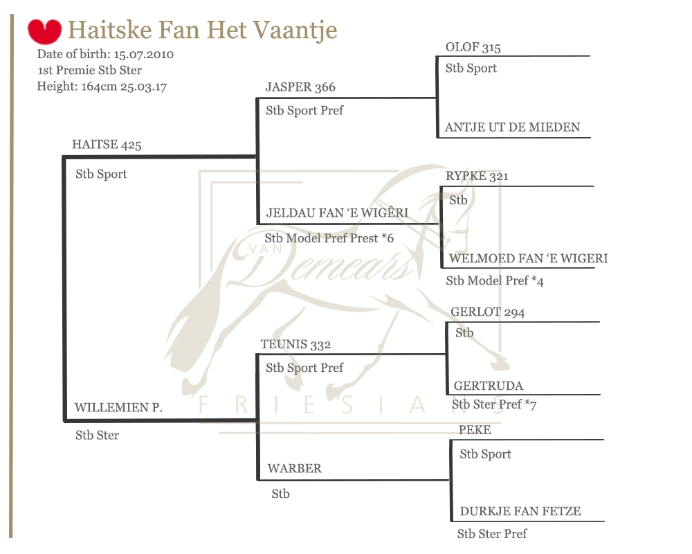 Haitske Lineage Graph | Van Demears Friesians Tamborine QLD Horse Stud