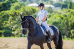 Haitske Fan Het Vaantje - Friesian Mare Van Demears Friesian Horse Stud QLD